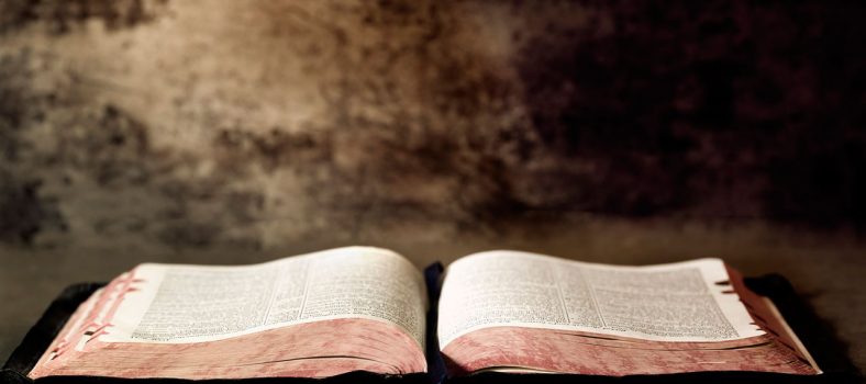Alkitab - Kitab Suci - Hasutan Kekerasan atau Pesan Damai - Hidup Merdeka dalam Yesus