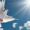 पवित्र आत्मा से प्रार्थना - Hindi Christian Prayer To The Holy Spirit